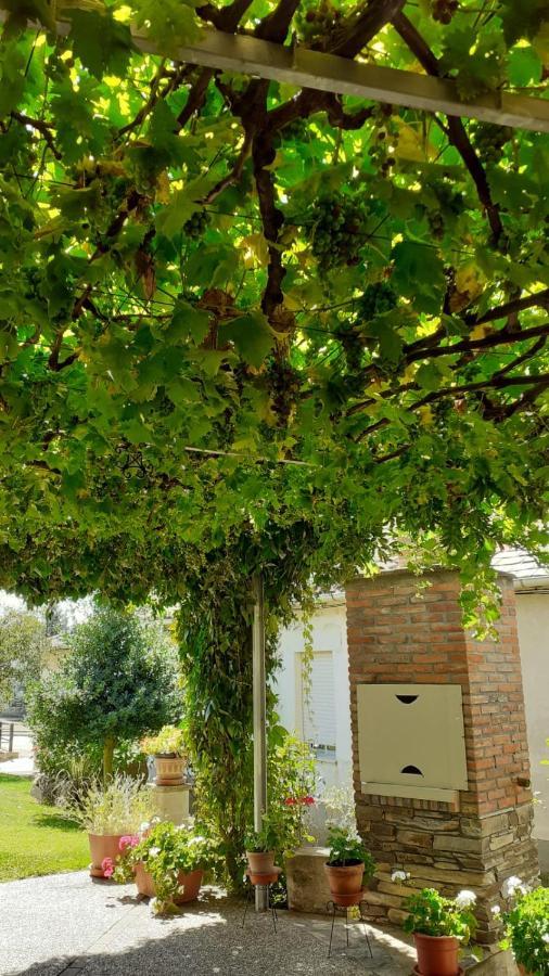 Villa El Maragato Castrillo de Cepeda Esterno foto